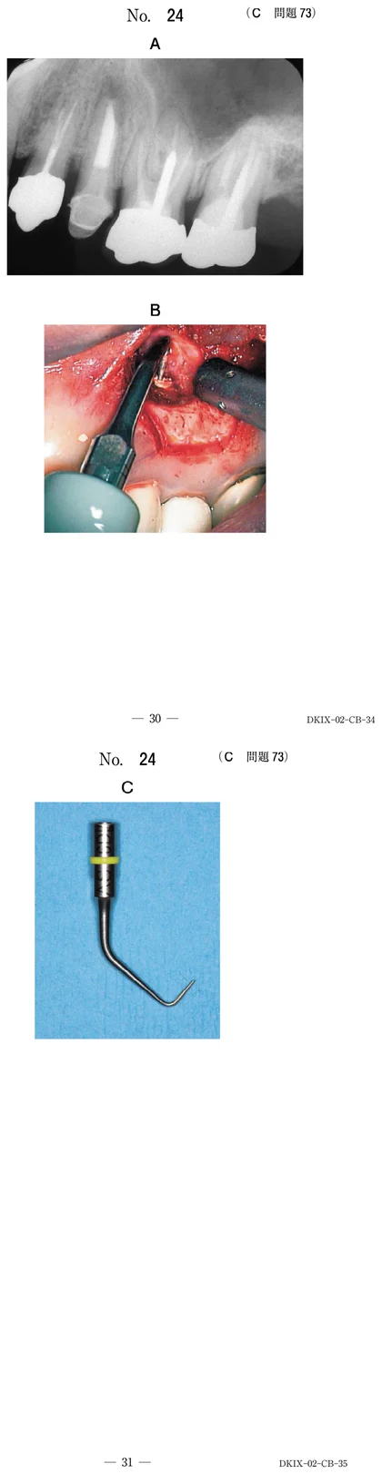 111C73 別冊画像
