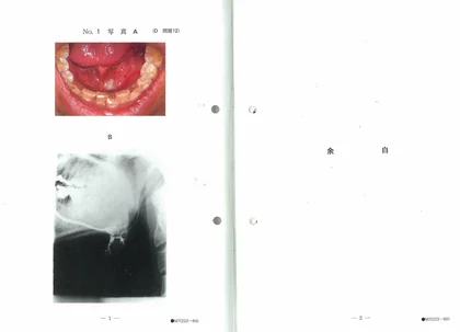 95D12 別冊画像
