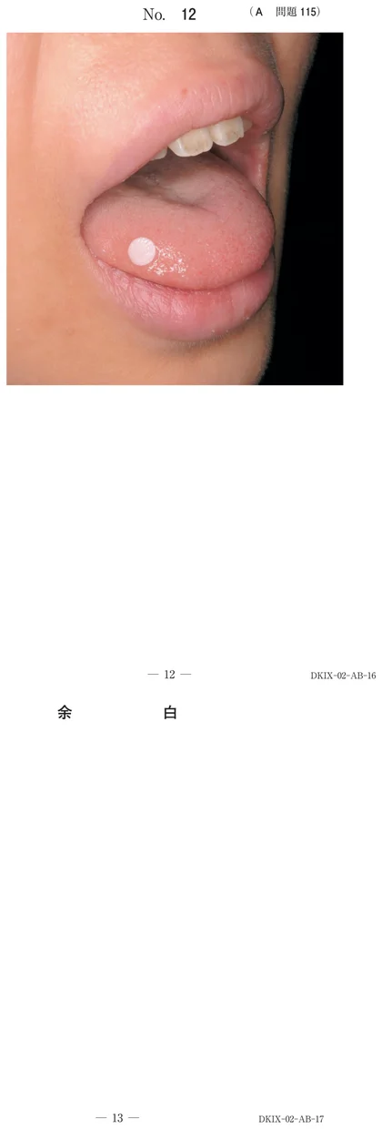 106A115 別冊画像