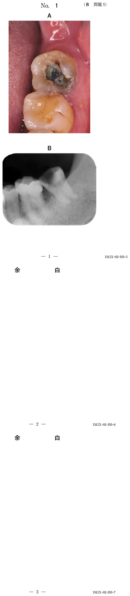 110B1 別冊画像