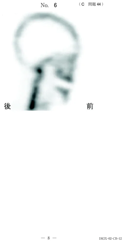 113C44 別冊画像