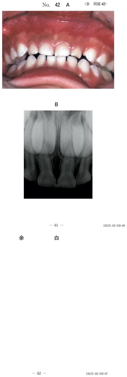 106D42 別冊画像