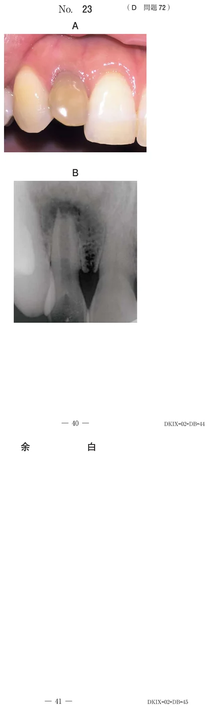 117D72 別冊画像