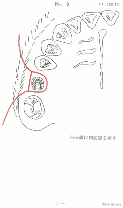 102D11 別冊画像