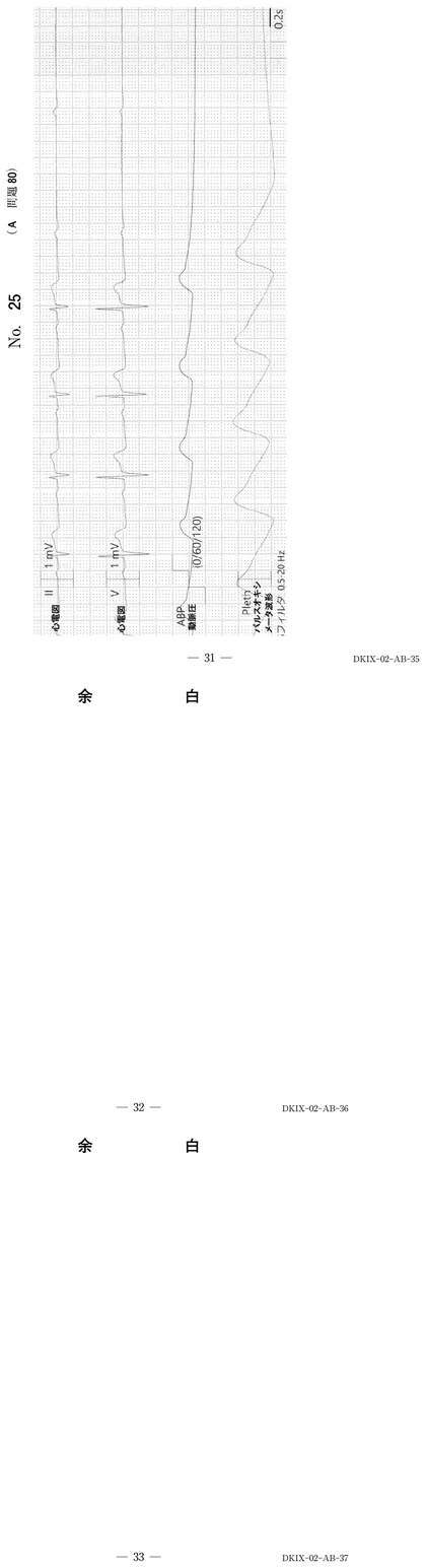 111A80 別冊画像