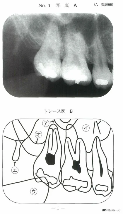 100A95 別冊画像