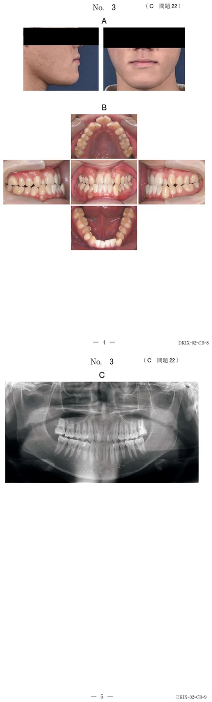117C22 別冊画像