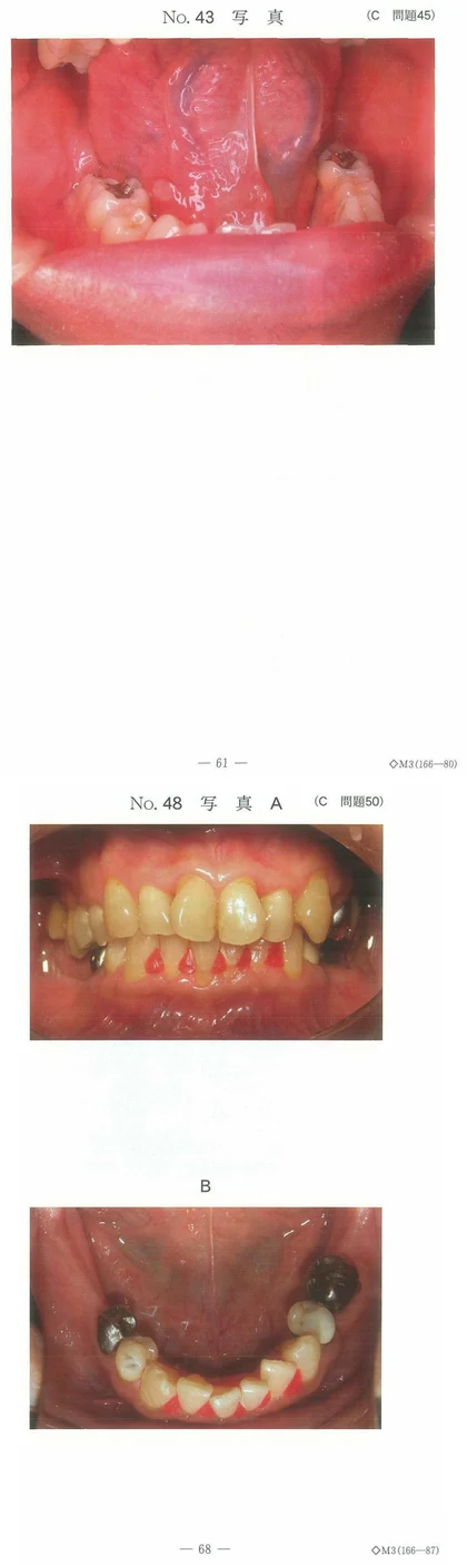 101C50 別冊画像