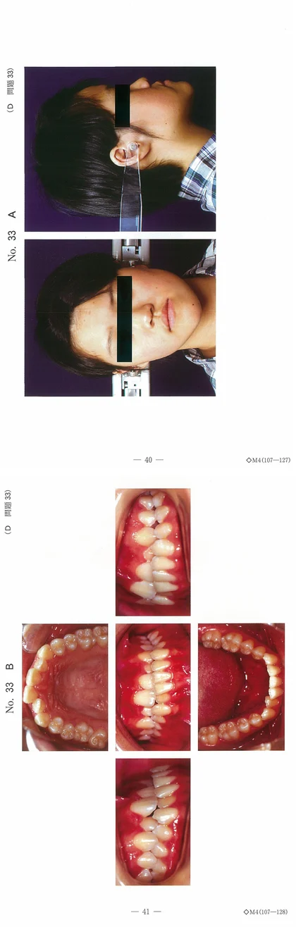 103D33 別冊画像
