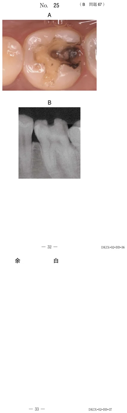 117B67 別冊画像