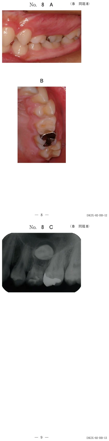 105B8 別冊画像