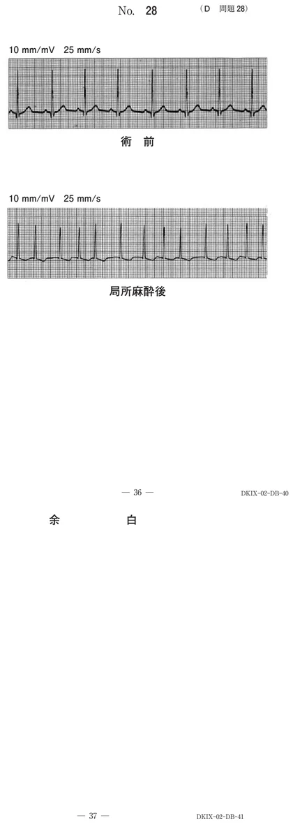 109D28 別冊画像