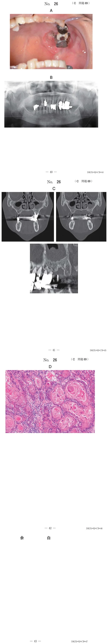 116C69 別冊画像