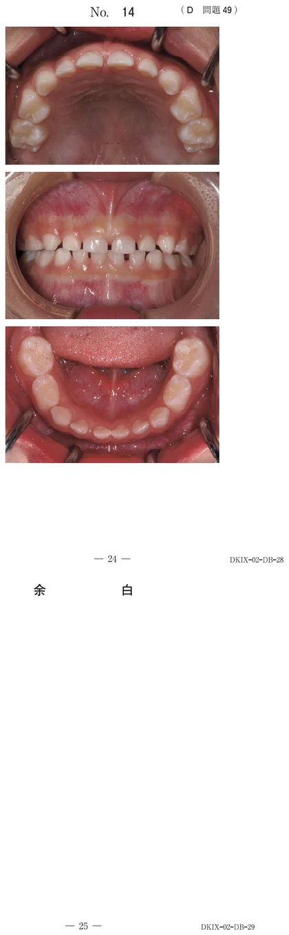 117D49 別冊画像