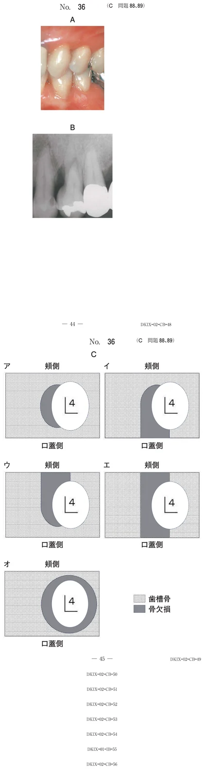 112C88 別冊画像