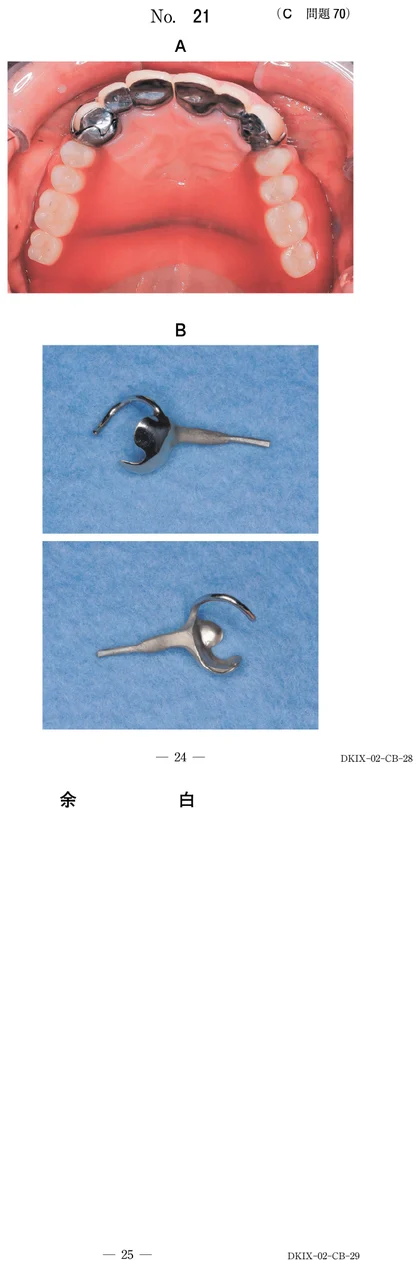 111C70 別冊画像