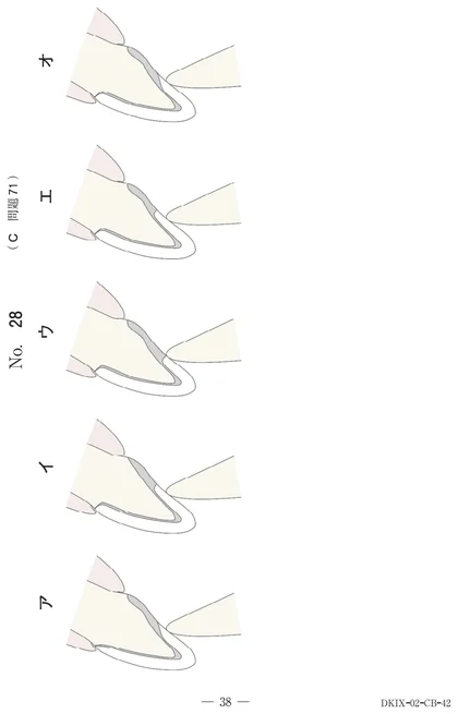 115C71 別冊画像