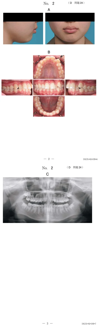 117D24 別冊画像