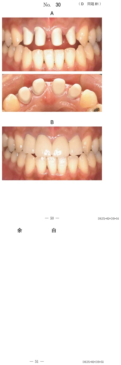 117D81 別冊画像