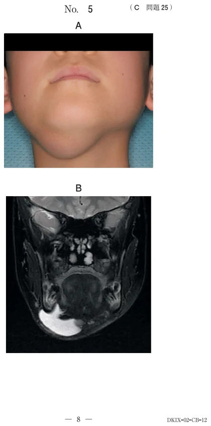 117C25 別冊画像