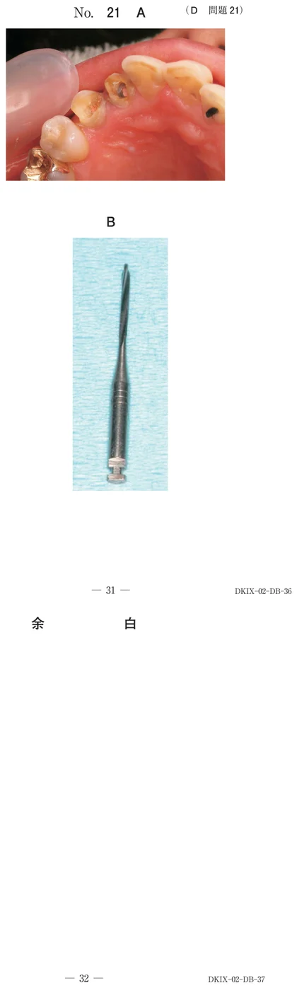 106D21 別冊画像