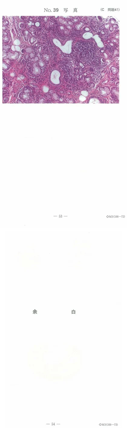 101C41 別冊画像