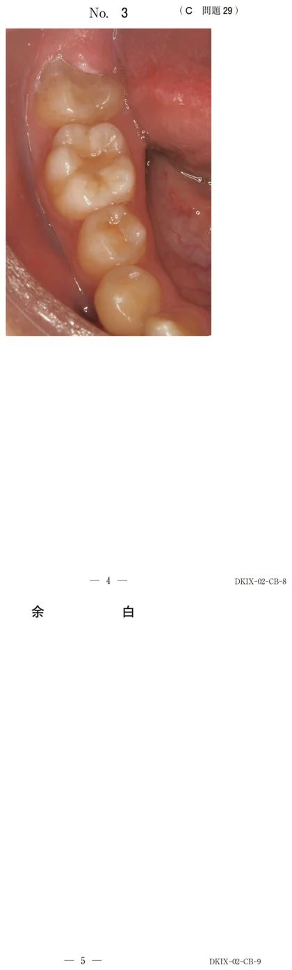 118C29 別冊画像