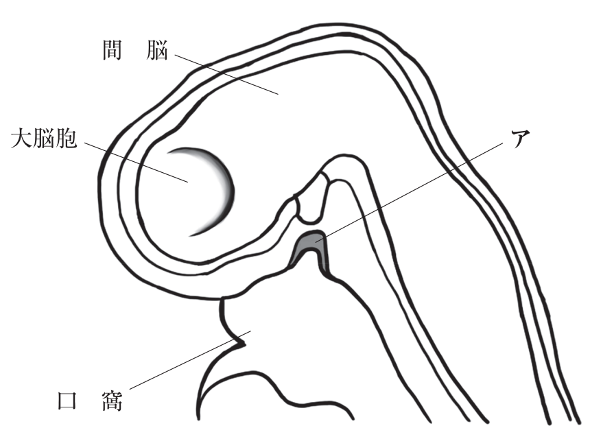 118D4 問題中の図