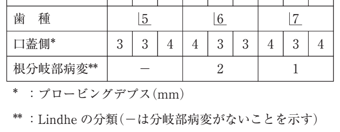 111C67 問題中の図
