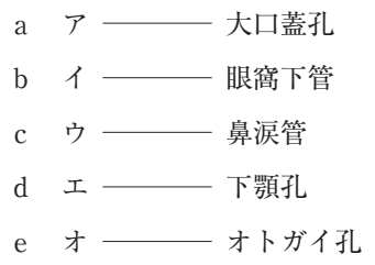 115A66 問題中の図