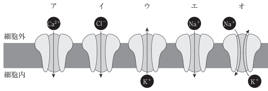 115D59 問題中の図