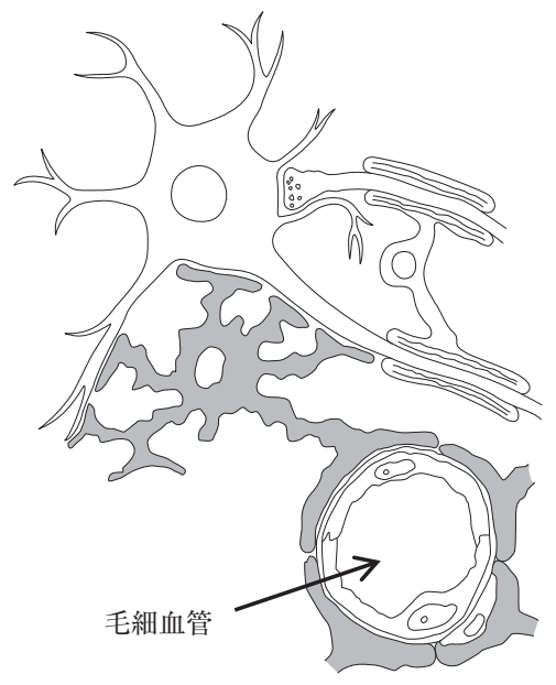 110A56 問題中の図