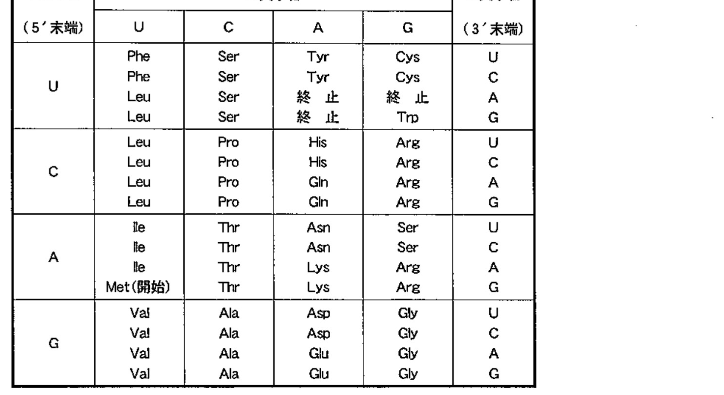 99A6 問題中の図