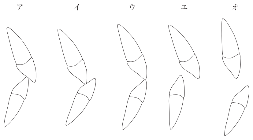 116C31 問題中の図