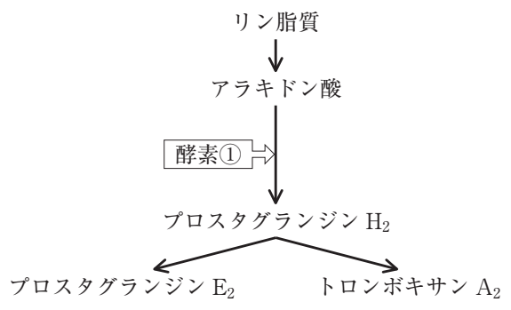109A107 問題中の図