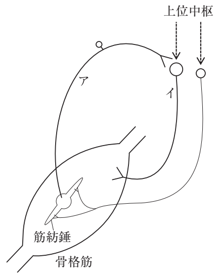 110C74 問題中の図