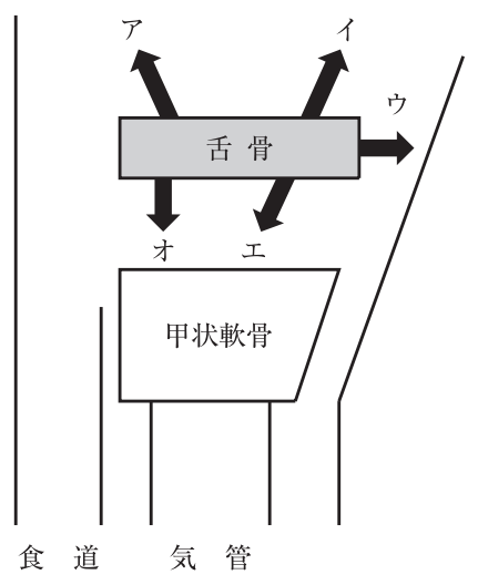 114C69 問題中の図