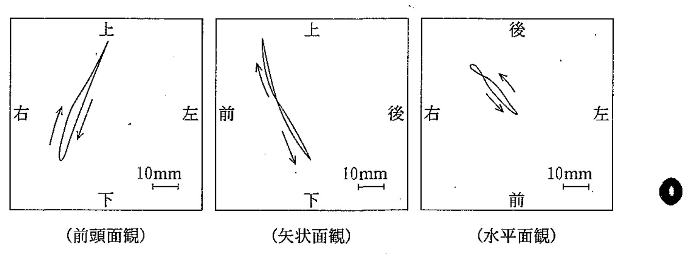 98C29 問題中の図