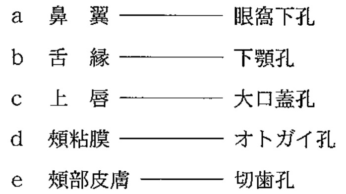 99D31 問題中の図
