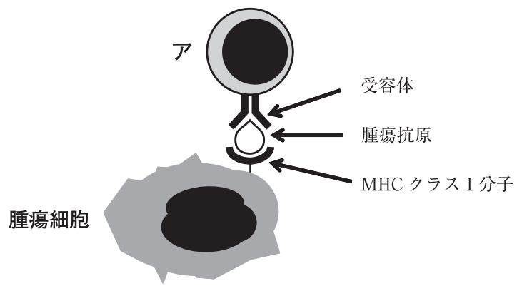 111A21 問題中の図