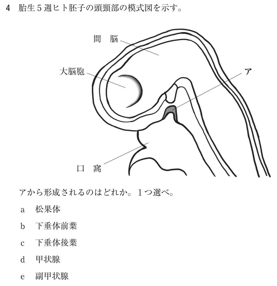 118D4 問題文（厚生労働省公表資料の切り出し）